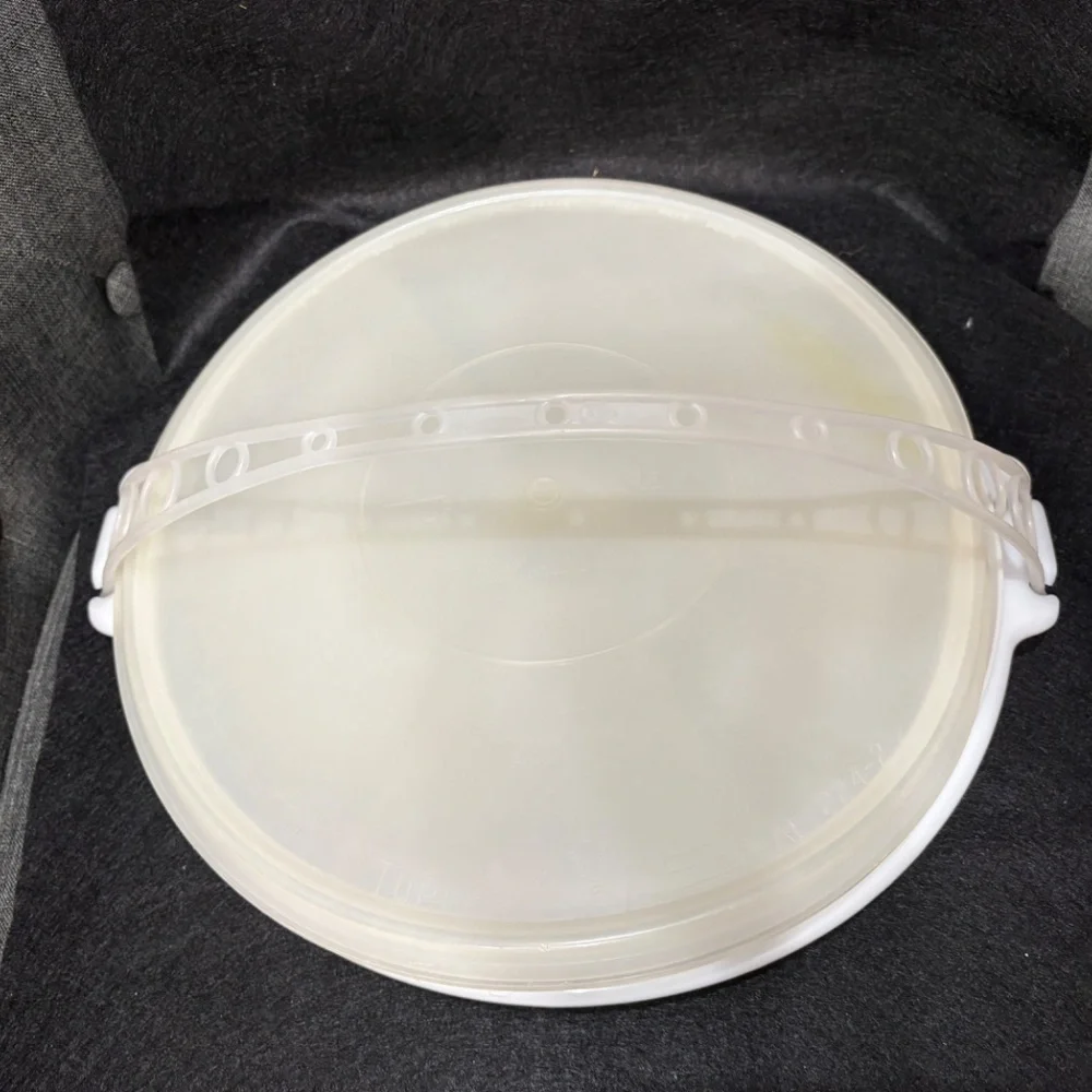TUPPERWARE 6 Section Relish Veggie Tray #405 Clear Lid #224 & Carolier Handle